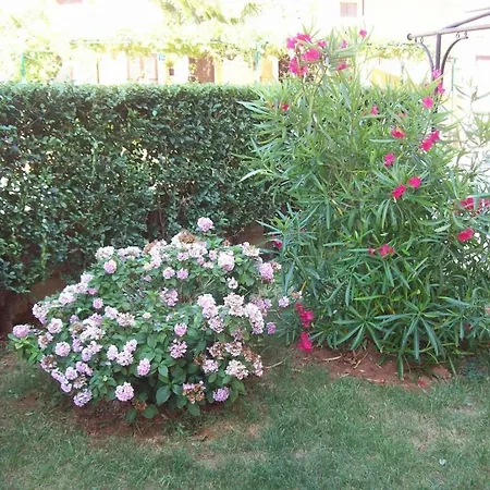In With Balcony, Air Conditioning, Wi-fi Apartament *
